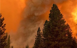 加拿大贾斯珀国家公园野火持续蔓延 2.5万人将撤离