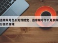 违章限号怎么处罚规定，违章限号怎么处罚限行抓拍原理