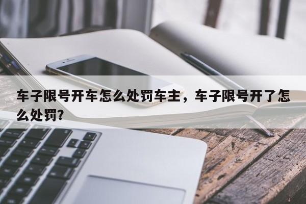 车子限号开车怎么处罚车主，车子限号开了怎么处罚？-第1张图片-瑾年生活网