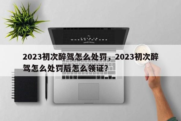 2023初次醉驾怎么处罚，2023初次醉驾怎么处罚后怎么领证？-第1张图片-瑾年生活网