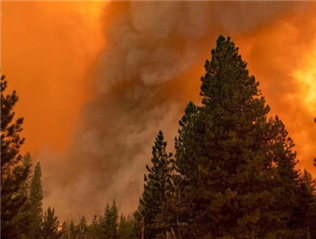 加拿大贾斯珀国家公园野火持续蔓延 2.5万人将撤离-第1张图片-瑾年生活网