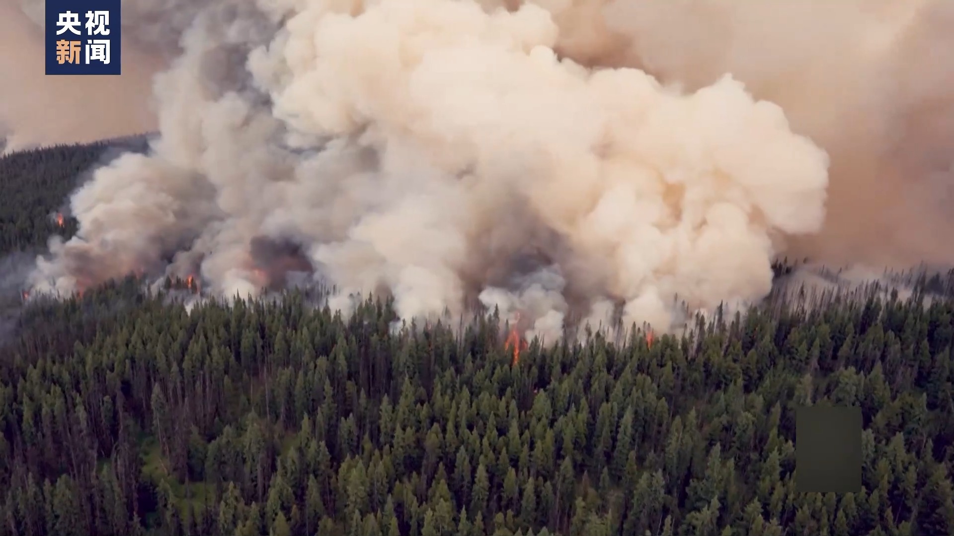 美国加州北部山火导致数千人疏散-第1张图片-瑾年生活网